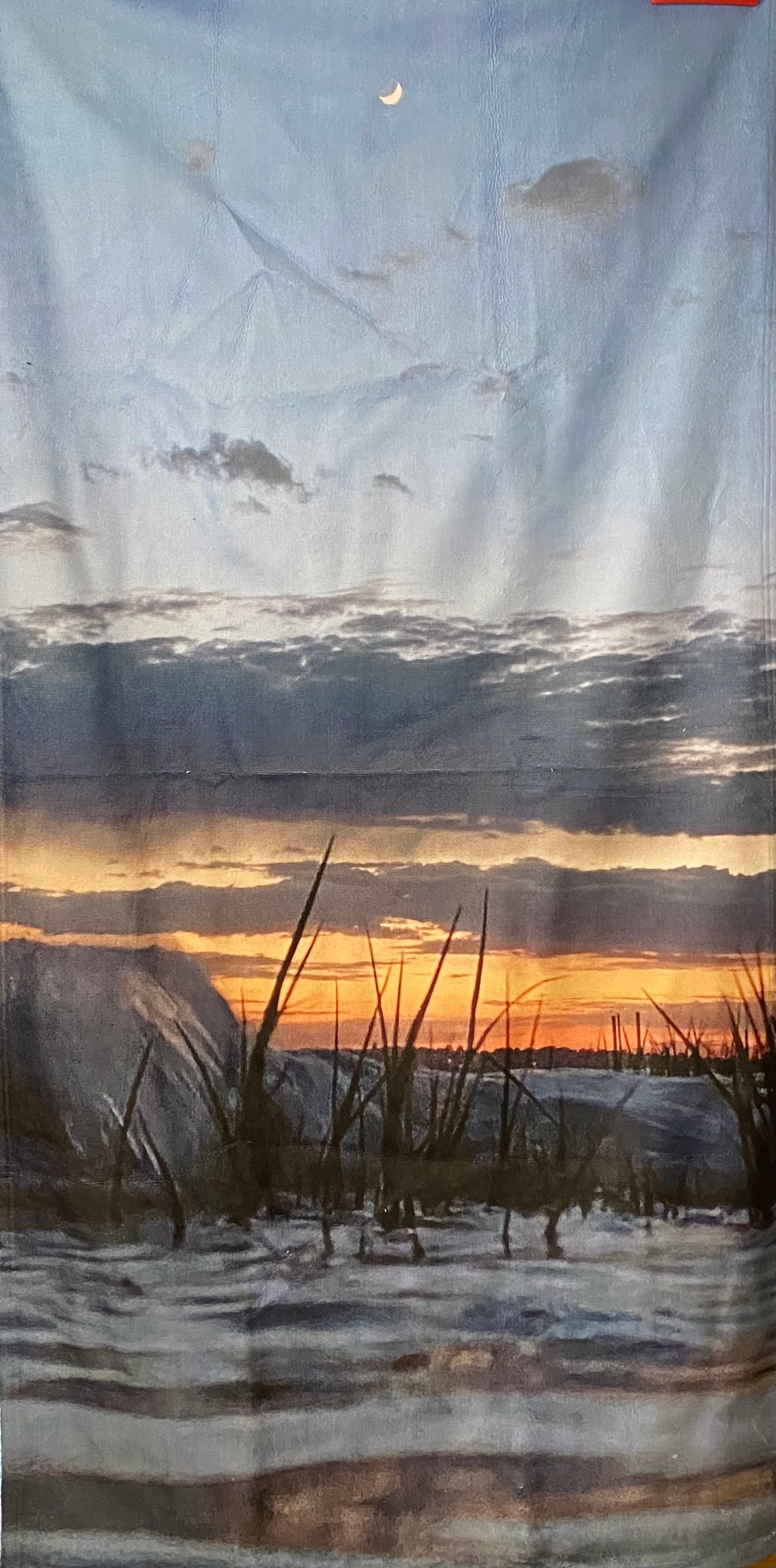 Night Shade Beach/ Bath Towel